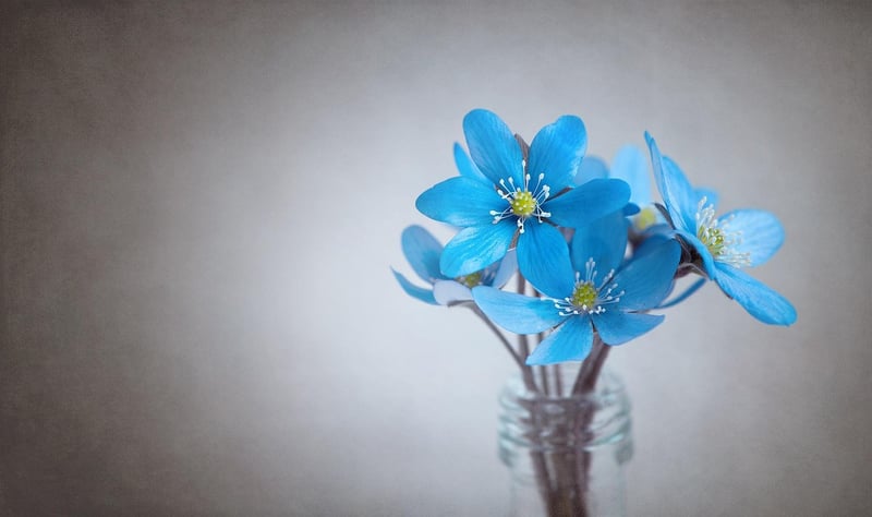 Floral Decor